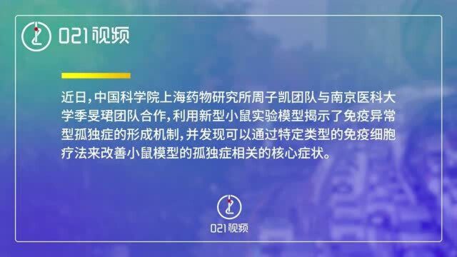 中国学者提免疫异常型孤独症潜在治疗策略