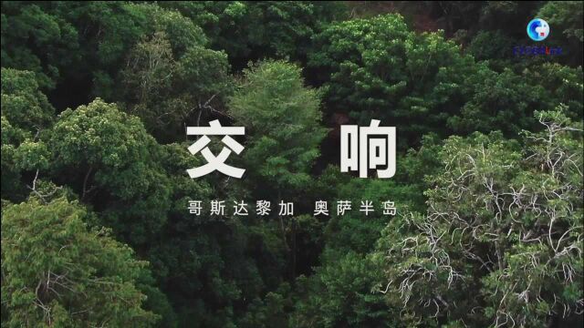 化身“顺风耳”“千里眼” 中国技术助力地球“绿肺”保护