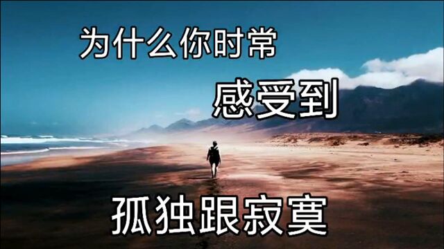 为什么你时常会感受到孤独寂寞