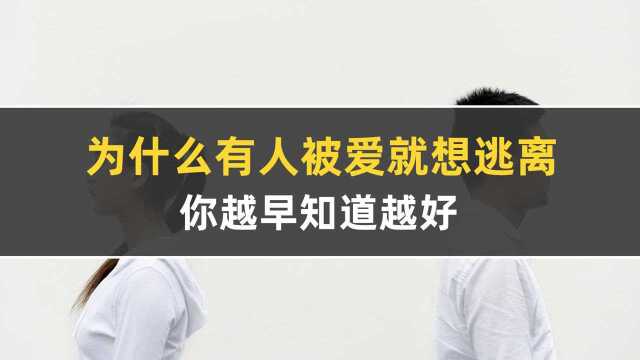 治愈系哲学专题:回避型依恋,为什么有人被爱就想逃离,第一集