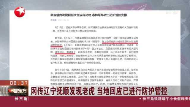 网传辽宁抚顺发现老虎 当地回应已进行防护管控