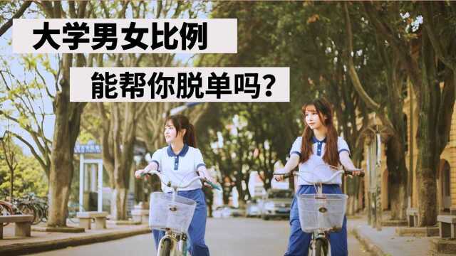 大学男女比例,能帮你脱单吗?