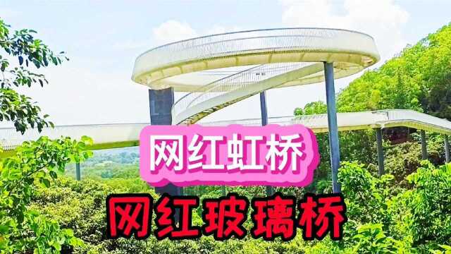 网红玻璃桥,大顶领山林公园内,父亲节虹桥公园玩,深圳旅游推荐