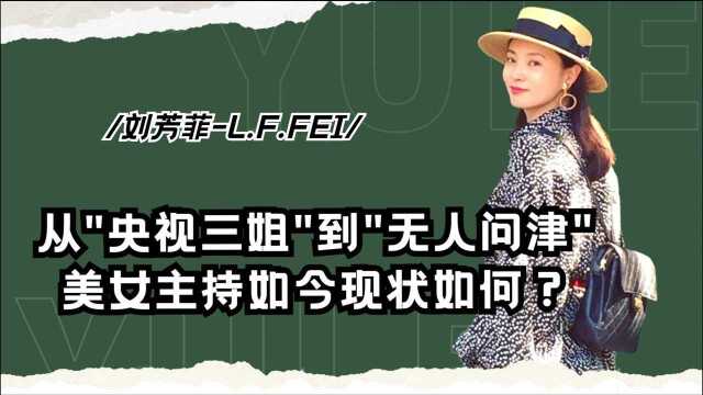 周涛接班人刘芳菲,因男友200万跌落神坛,昔日央视三姐今怎样?