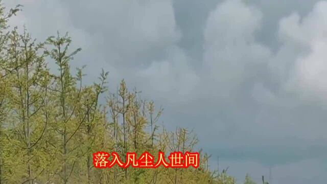 云南山歌《无缘无份手难牵》经典山歌,唱山歌