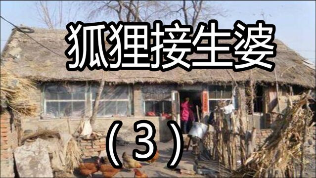 民间故事:狐狸接生婆(大结局)