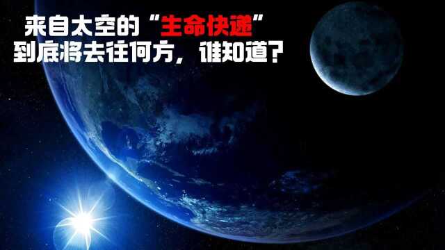 来自太空的“生命快递”到底将去往何方,谁知道?#“知识抢先知”征稿大赛#