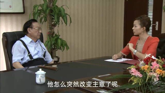 杨光的夏天:洪董想让条子继承公司,美女极力反对