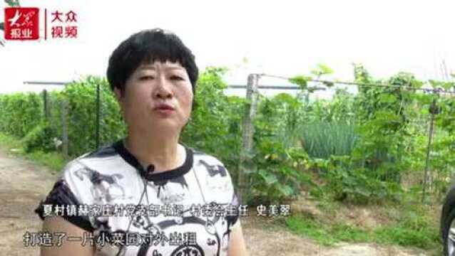 带着村民走上小康路的“女当家”