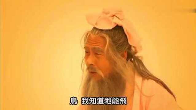 孙子大传孔子,老子,孙子会面,世纪之谈太罕见,都是人生哲理