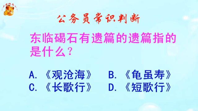 公务员常识判断,东临碣石有遗篇的遗篇指的是什么?错得一塌糊涂