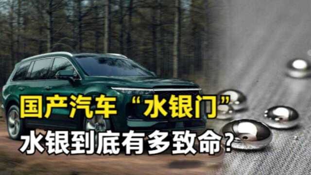 国产汽车座椅渗出水银,到底有多危险,致命吗?#“知识抢先知”征稿大赛#