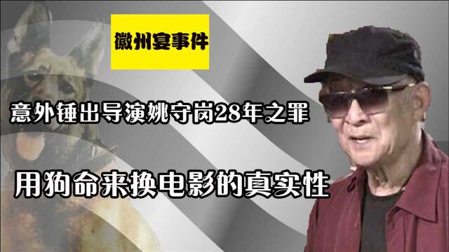 徽州宴事件成照妖镜?无意牵出姚守岗28年之罪,退役军犬何去何从