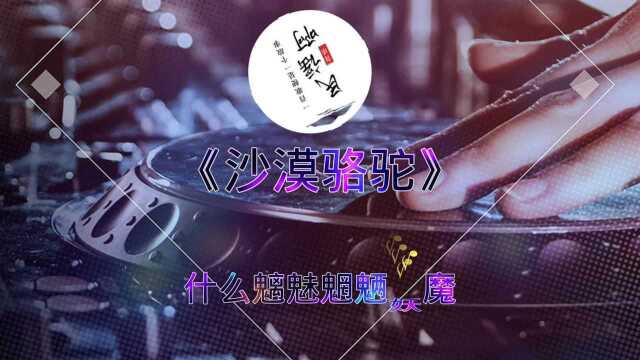 热门歌曲《沙漠骆驼》#音乐