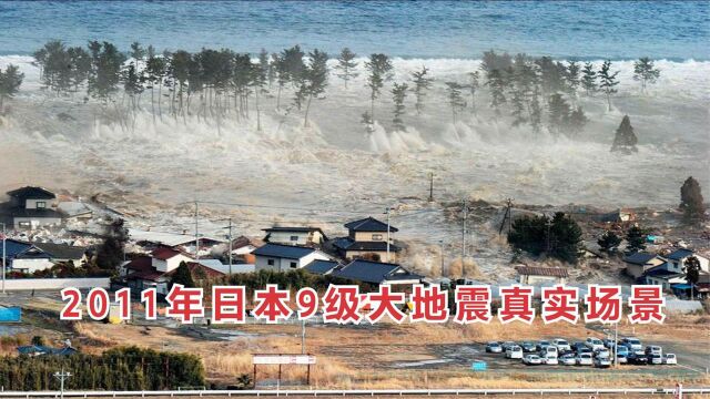 9级地震有多恐怖?这是2011年日本大地震真实场景,人类不堪一击