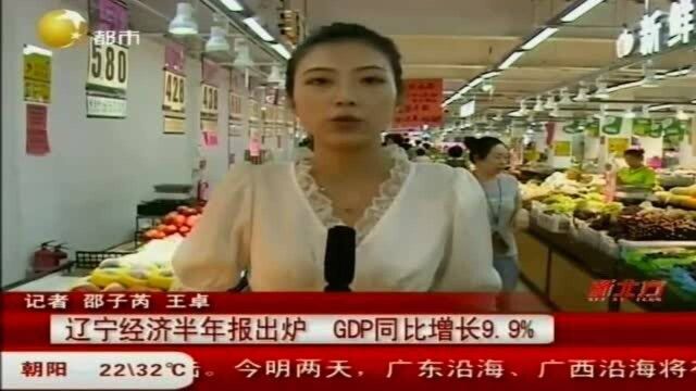 辽宁经济半年报出炉,GDP同比增长9.9%