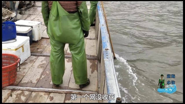 赶海姑娘出海打渔,抓到了什么大货让她高兴的跳起来