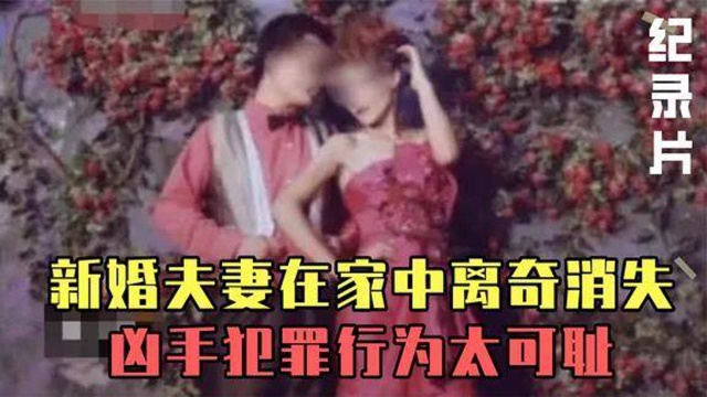 纪录片“消失的夫妻”新婚夫妻在家中离奇消失,背后真相如何