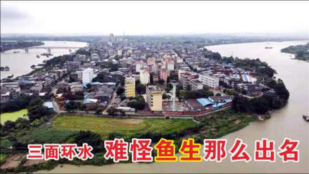 航拍横州市峦城镇(原永淳县城),镇区三面环水,难怪鱼生出名