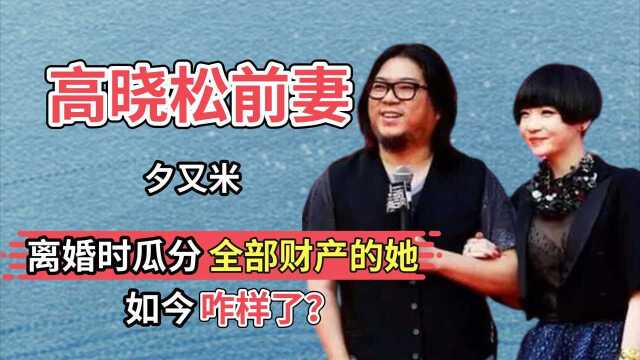 被高晓松“圈养”6年,离婚时瓜分全部财产的夕又米,如今咋样了