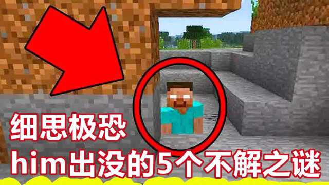 我的世界 MC:细思极恐,him出没的5个不解之谜