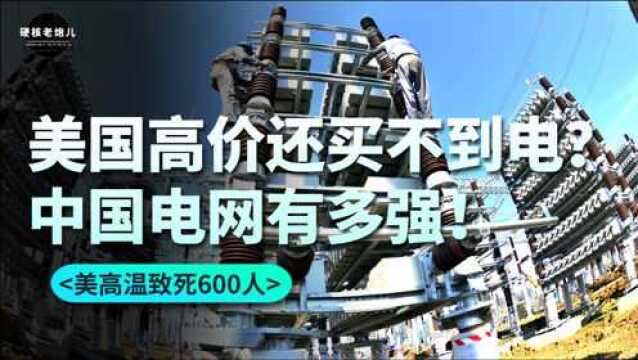 美国极端高温疯狂来袭,不让开空调闹出笑话,电网实力还得看中国