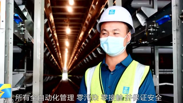 54万只小鸡“搬新家” 省级重点项目助推潍坊安丘畜牧业“蝶变升级”