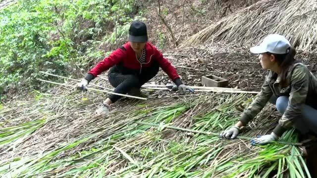 丛林生活:纯手工建造木材仓库,贮备粮食