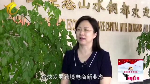 市商务局党组书记、局长张琼栏目讲话 《数字铜陵》每周一期,每周五晚20:05在铜陵台新闻综合频道首播,公共频道、科教频道、网络台、豚云手机台等周...