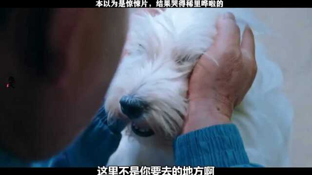 你陪我长大,我陪你一生