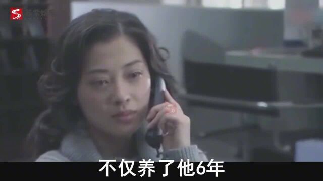 2001年,26岁的梅婷认识32岁的鄢颇,不到一年就闪婚,现在怎么样了!