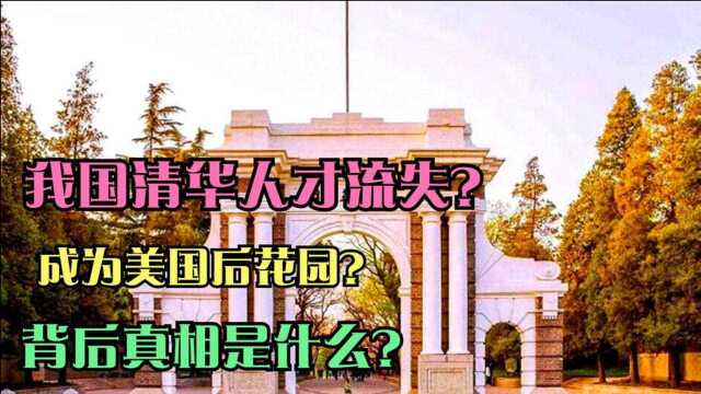 清华北大,如何才能重新赢得国人尊重?揭秘人才流失背后的真相