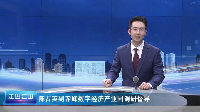 陈占英到赤峰数字经济产业园调研督导