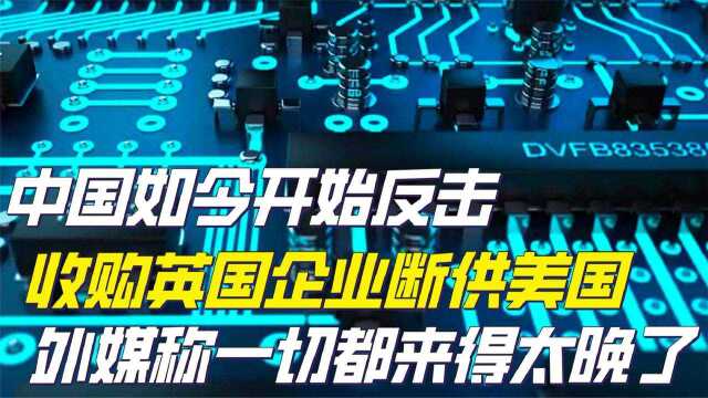 中国又火了!收购英国企业断供美国,外媒表示这一切都太晚了? 纪录片