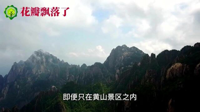 黄山到底有多高?