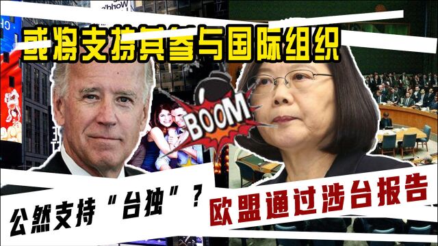 公然支持“态度”?欧盟通过涉台报告,或将支持其参与国际组织