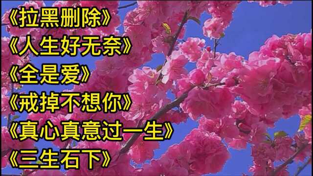 几首好听的歌曲