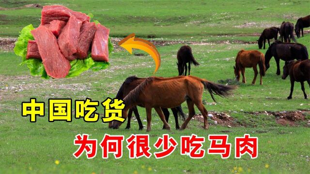 每年470多万匹马被屠宰,为啥我国却很少有人吃马肉?不好吃吗?