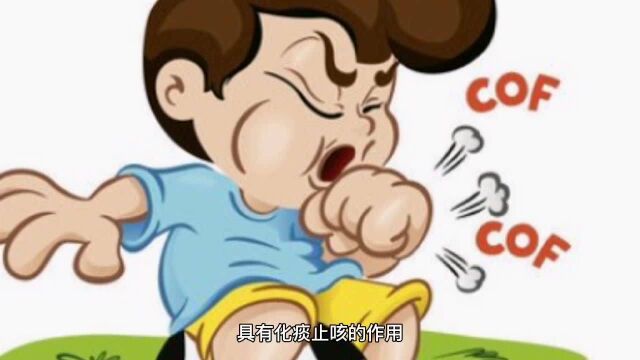 哪些人不能吃桂花类食品?