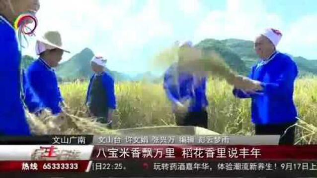 八宝米香飘万里,稻花香里说丰年