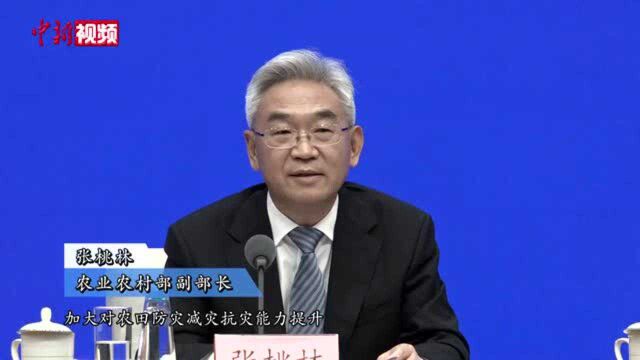 农业农村部谈高标准农田建设:为何建?怎么建?