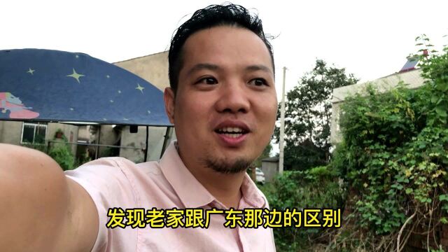 碰到这种问题的老司机如何解决?实拍湖北省监利市新沟镇标志景观