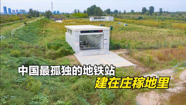 石家庄一地铁站建在庄稼地里,村民坐着地铁去掰棒子,太不可思议