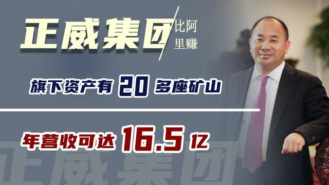 比阿里还赚钱的企业,旗下资产有20多座矿山,年营收可达16.5亿