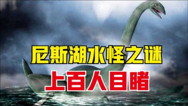 尼斯湖“水怪”真存在?被游客拍到清晰照片,真是恐龙后代?