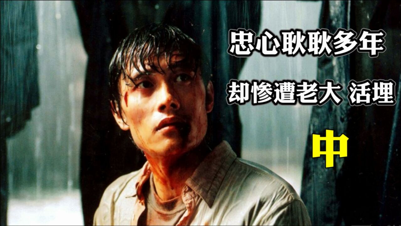 中,顶级打手对大嫂心动,惨遭老大活埋,死里逃生后疯狂复仇,犯罪片