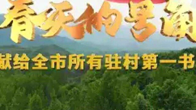 春天的号角——献给全市所有驻村第一书记 平顶山日报社出品 #驻村