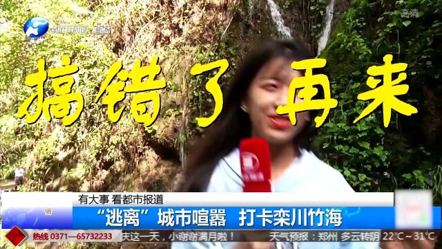 国庆游玩攻略来了,带你前往栾川王府竹海,游山玩水“逃离”城市喧嚣