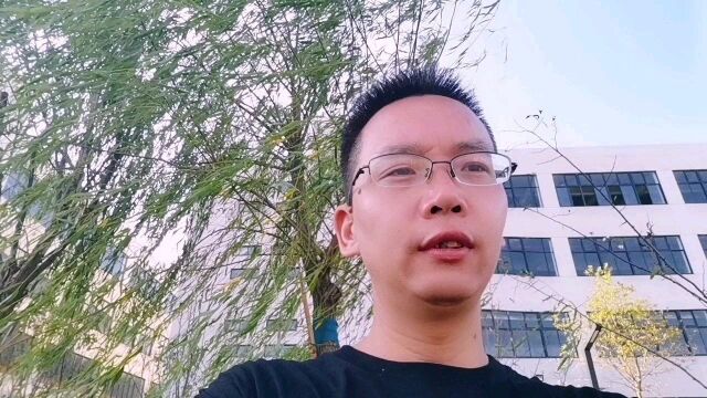 如何根据公司基本面的财务数据找到真正伟大的常青树企业?