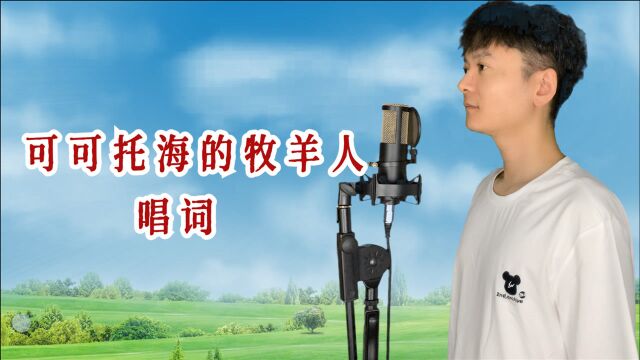 王琪经典《可可托海的牧羊人》歌曲教唱,对照简谱学唱词,一起学